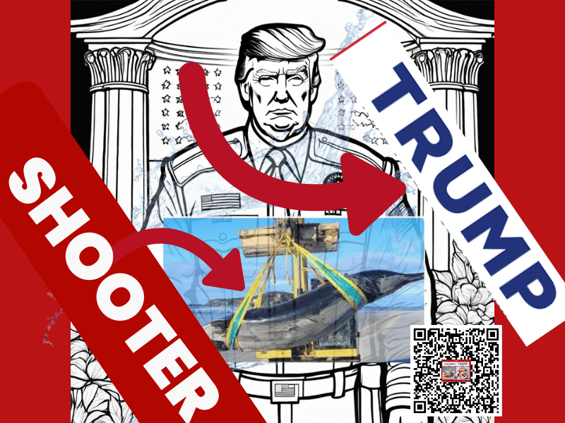 tag, donald trump,trump,president trump,trump wall,design,melania trump interior design,president donald trump, abadijaan logo design, abaidjaan shop, abaidjaan store, abaidjaan website,cashtly, cashtlycom, cashtly design, trump tower,